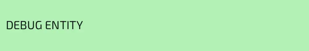 DEBUG ENTITY
